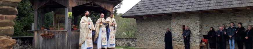 Sărbătoarea închinată Maicii Domnului – ”Izvorul Tămăduirii”